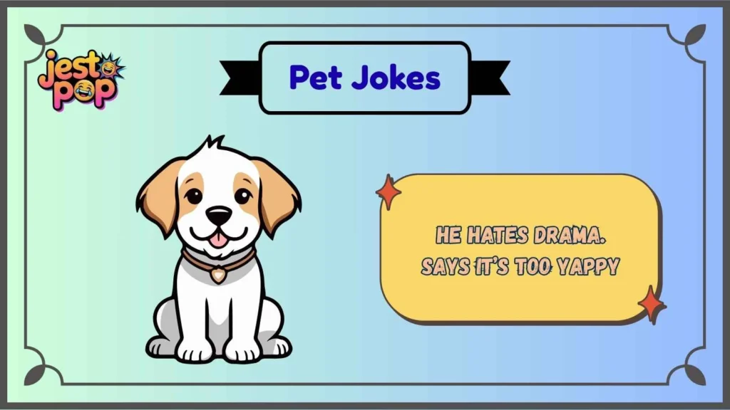 Funny Dog Jokes That Are Barking Brilliant