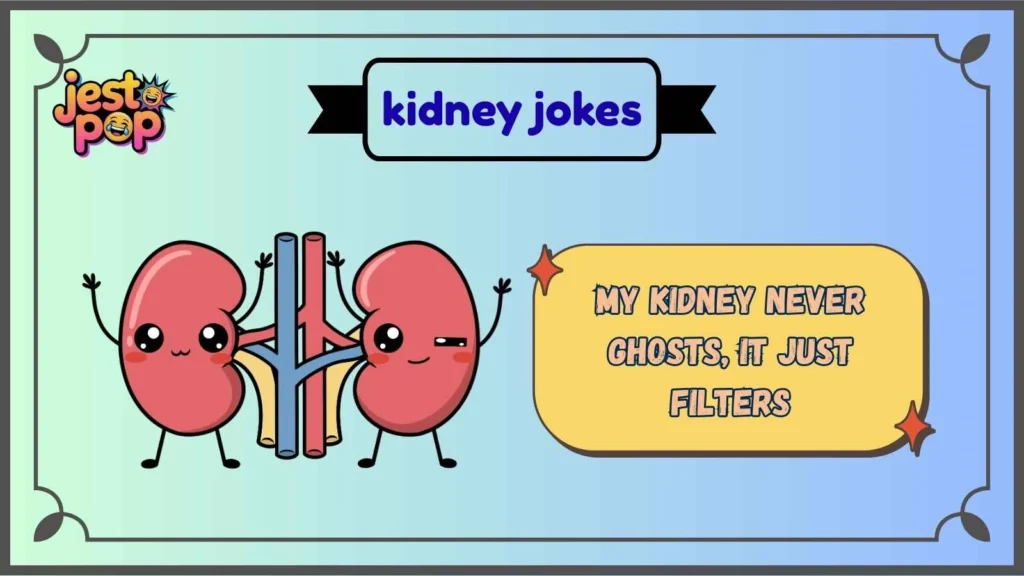 Funny Kidney Jokes for Everyday Laughs