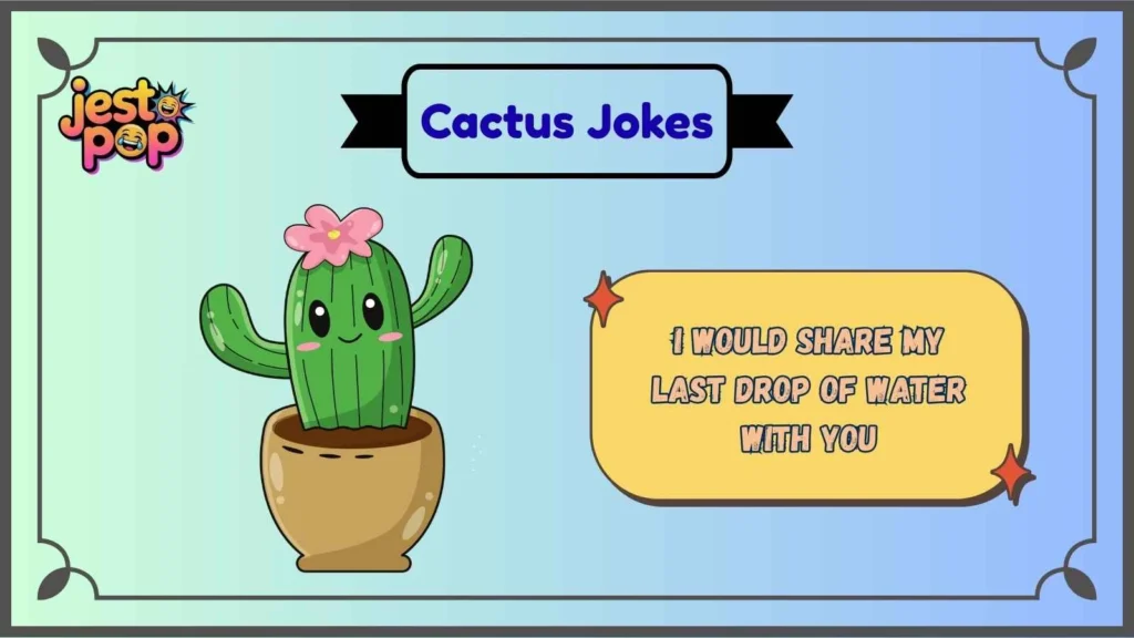 Romantic Cactus Jokes for Prickly Love Stories