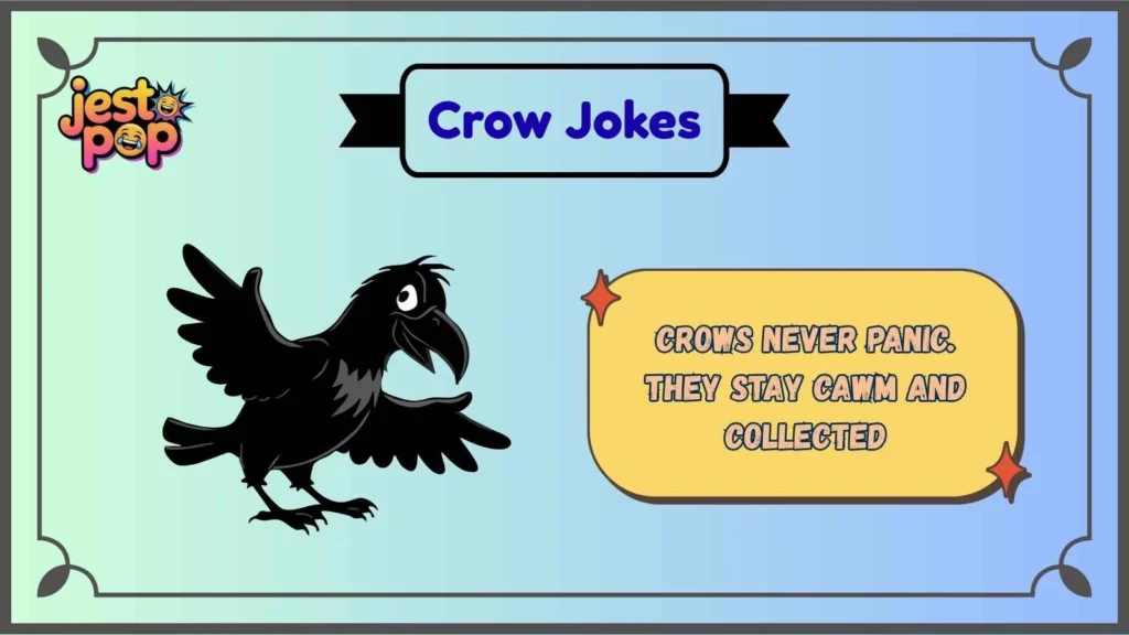 Clever Crow Wordplay That Shows Their Brainpower