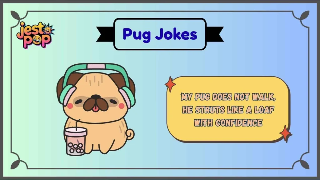 Cute Pug Jokes That Melt Hearts