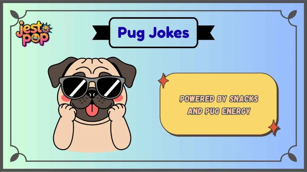 Short Pug Puns for Quick Captions